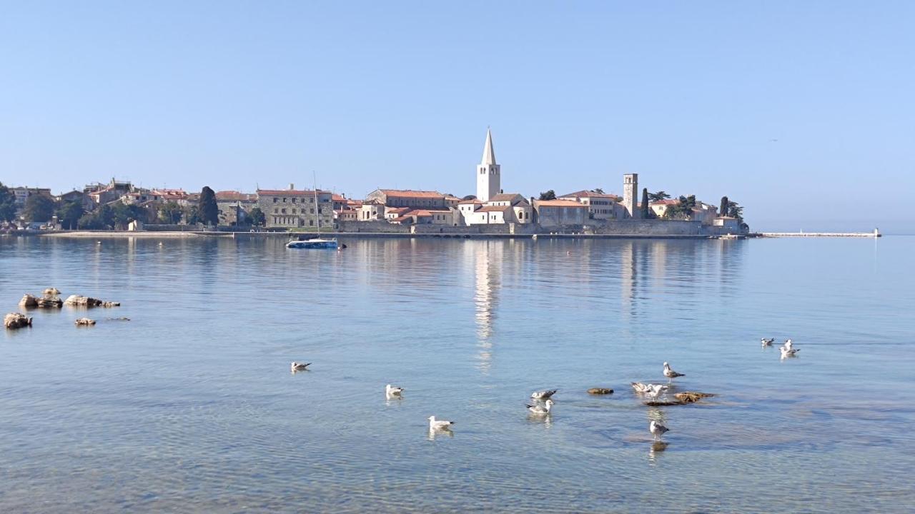 Apartments Marla Poreč Buitenkant foto