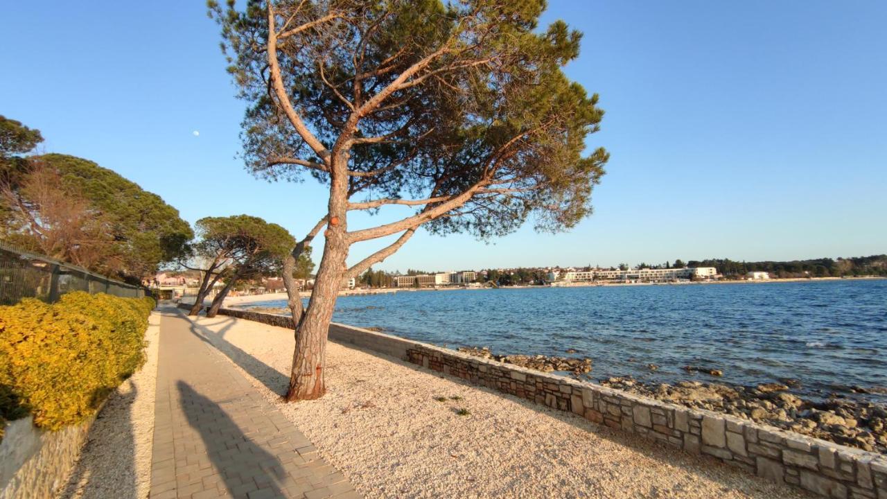 Apartments Marla Poreč Buitenkant foto