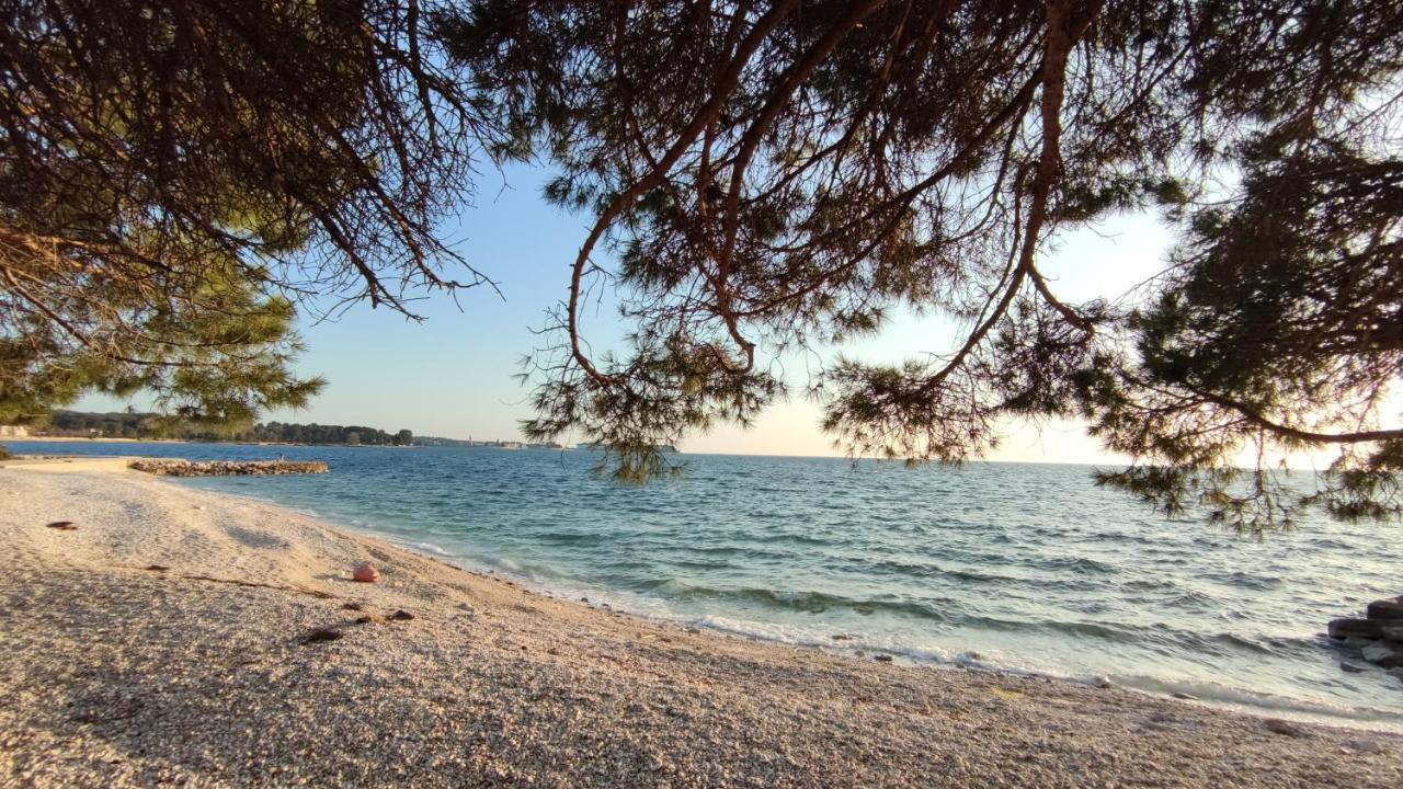 Apartments Marla Poreč Buitenkant foto